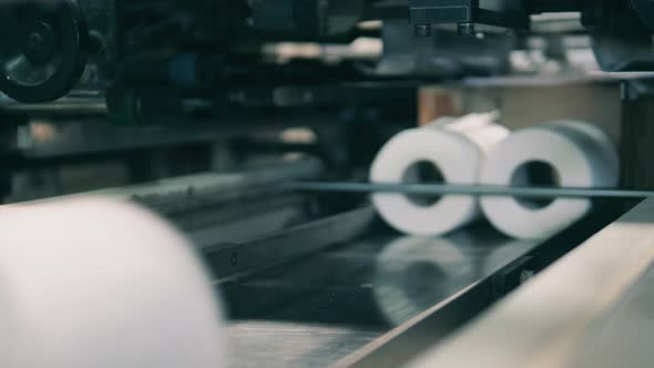 Toilet Paper Moving Up Along the Conveyor