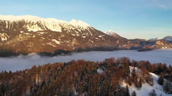 Flying over a foggy winter forest