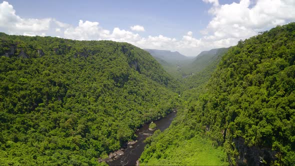 Amazon Jungle Timelapse