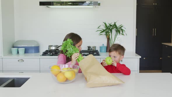 Caucasian siblings unpacking groceries together in kitchen