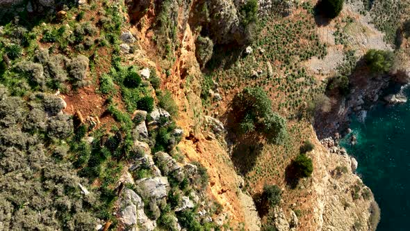 Goats Walk Along the Mountain Slope Aerial View 4 K Alanya Turkey