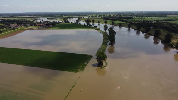 Floodplains and drowned trees at river Maas in the Netherlands, Aerial