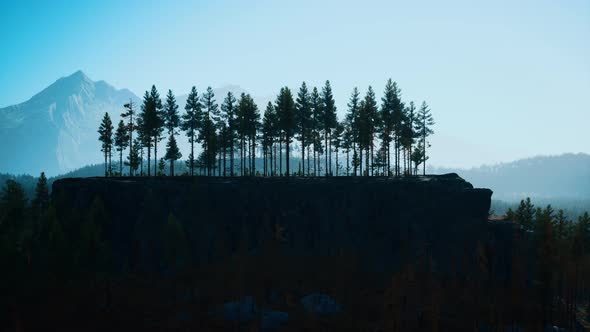 Misty Mountain Forest Landscape in the Morning