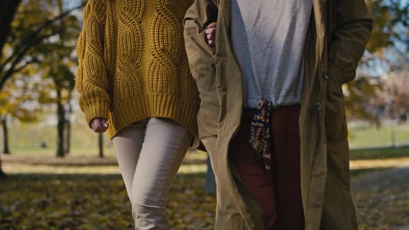 Caucasian women walking together in park in autumn. Shot with RED helium camera in 4K