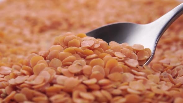 Orange dry coral lentils in a spoon. Falling uncooked split grains in slow motion