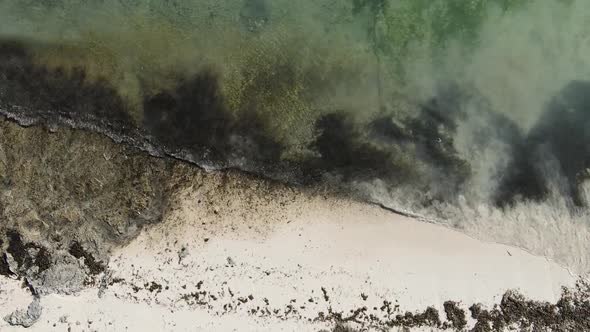 Zanzibar Tanzania  Vertical Video of the Ocean Near the Coast Slow Motion