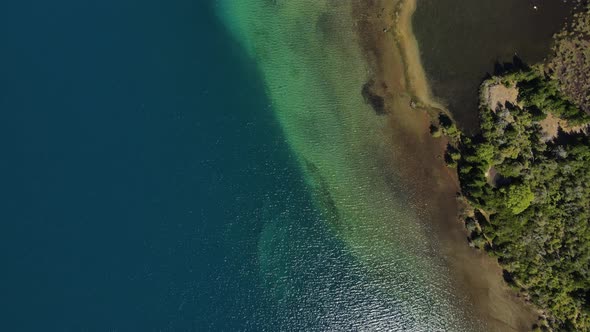 Aerial top down of turquoise Epuyen lake and pine trees near the shore, Patagonia Argentina