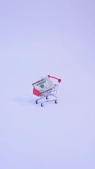 Black Friday Video Footage - Close Up Video Of Money On A Tiny Push Cart