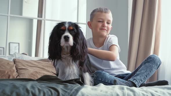 A Happy Caucasian Boy in a White Tshirt Sits on a Bed in the Bedroom Hugs a Dog and Strokes It