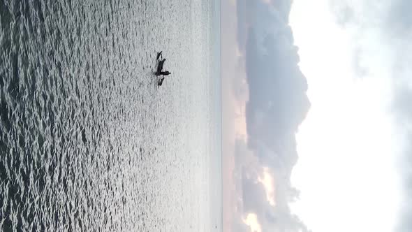 Tanzania Vertical Video  Boat Boats in the Ocean Near the Coast of Zanzibar Aerial View