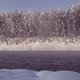Calm Haze Water Winter Forest River - VideoHive Item for Sale