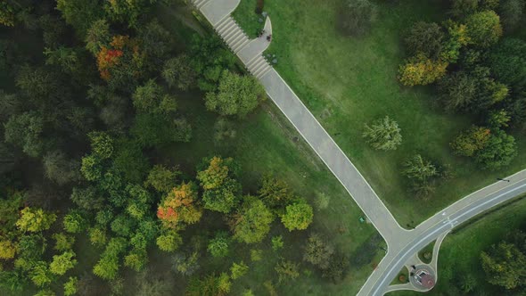 Flight over the autumn park in cloudy weather.