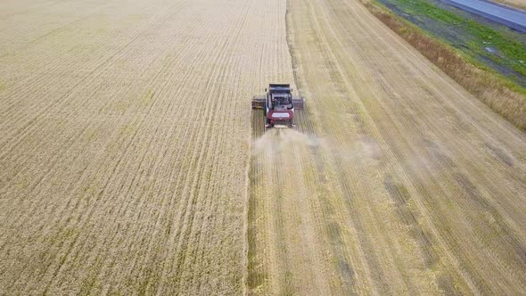 Combines Harvest Sunflower During the Day. Aerial Shoot.