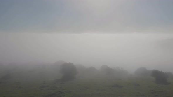 Dramatic spooky foggy scenic flight through eerie grey clouds, fog and mist with black birds flying