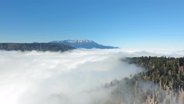 Bird's eye view above the clouds lying on the surface of the forest in California, USA