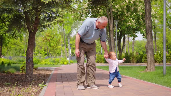 Baby Learns to Walk Outdoors