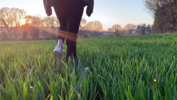 Woman walking away from a low camera through a field of wheat in early summer at sunset