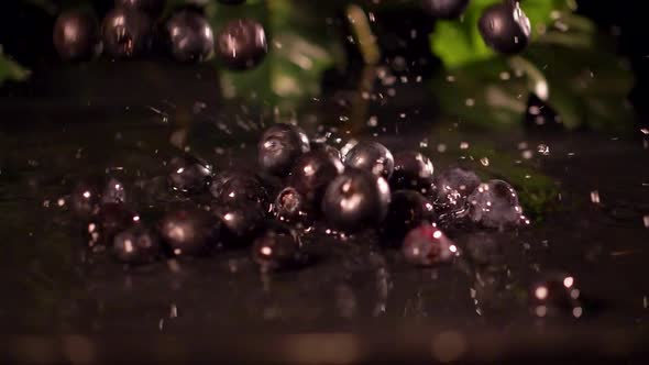 Blueberries fall into water in slow motion