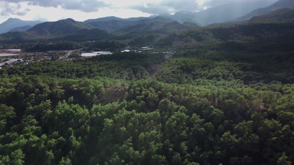 Drone Footage of Forest Next to Village and Mountains Where There are High Voltage Wire Above Plants