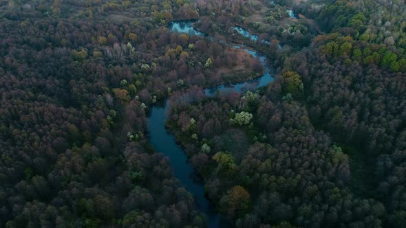 Spring Forest and River on Sunset in National Park