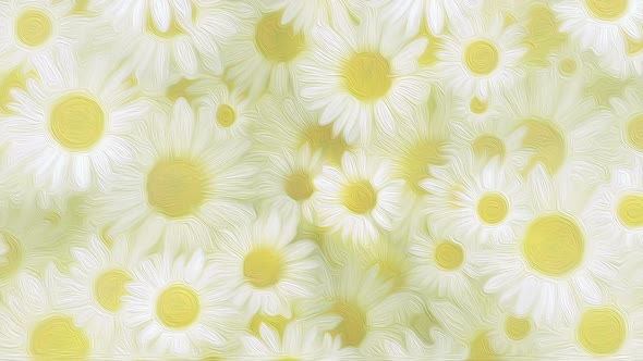 Springtime Daisies Floral Oil Painting Background Animation