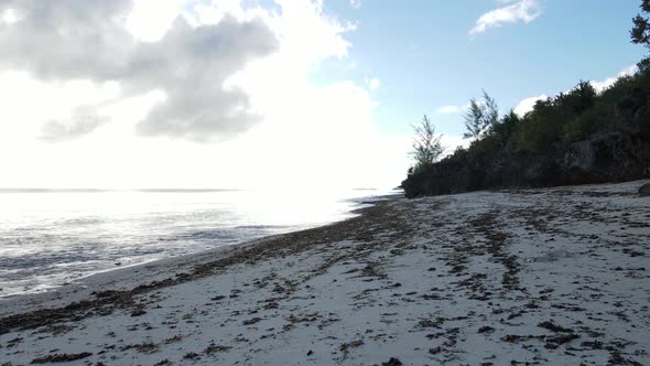 Beach on Zanzibar Island Tanzania Africa