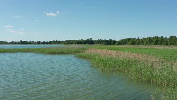 Lake In The Summer