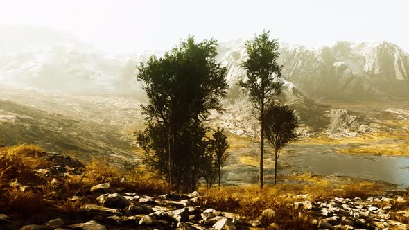 Beautiful Rocks with Few Trees at the Daylight in Nepal