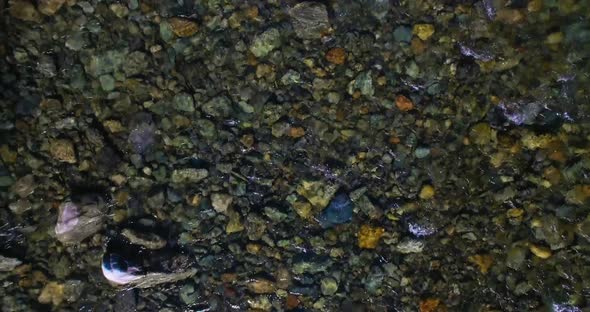 Low Altitude Flight Over Fresh Fast Mountain River with Rocks at Sunny Summer Morning.