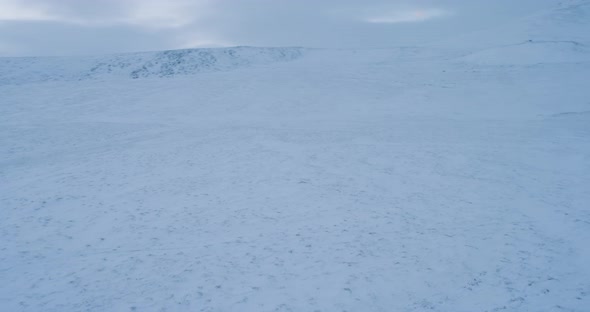 Big Field in Arctic Amazing Landscape