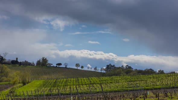 Timelapse Bordeaux Vineyard at sunrise in spring, Entre deux mers, Gironde