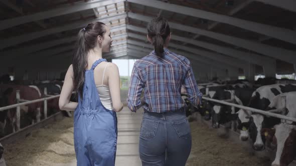 Young Girls Farmers Making a Tour of the Barn with Cows on the Farm. Girl Farmer Shows the Visitor