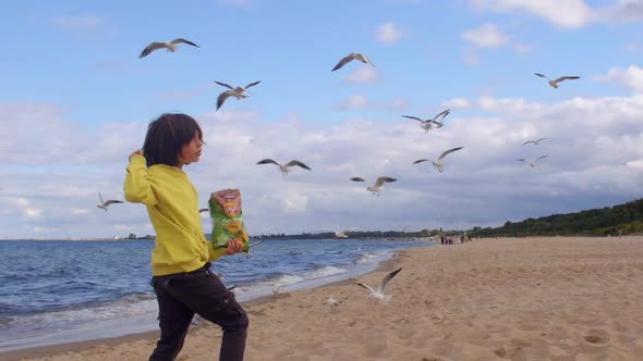 A Child Feeds Seagulls with Chips on the Shore of a Deserted Beach By the Sea