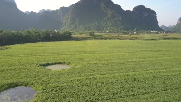 Boundless Valley Covered with Green Field Against Forest