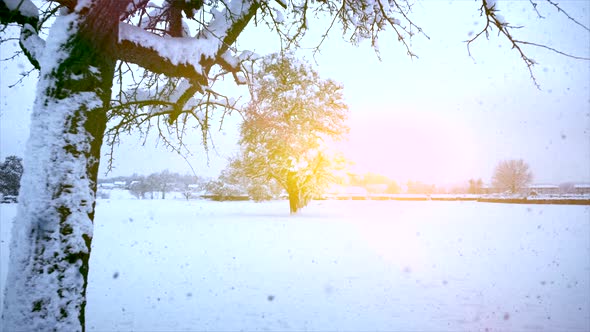 Aerial View of Nature Environment Scenery Landscape Outdoors during Snowfall in Christmas Time alt