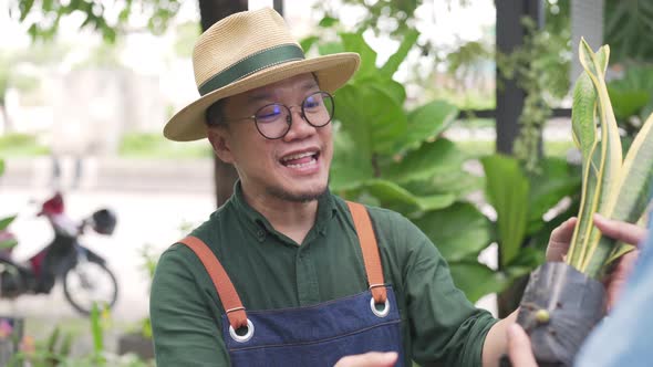 4K Asian man plants shop owner helping the customer choosing potted plants in store