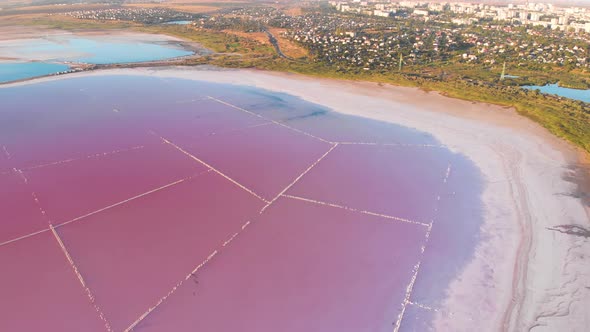 Wonderful Flight Over a Pink Salty Lake at Sunset in the Evening