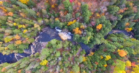 Aerial Looking Down at River Gorge Surrounded By Forest