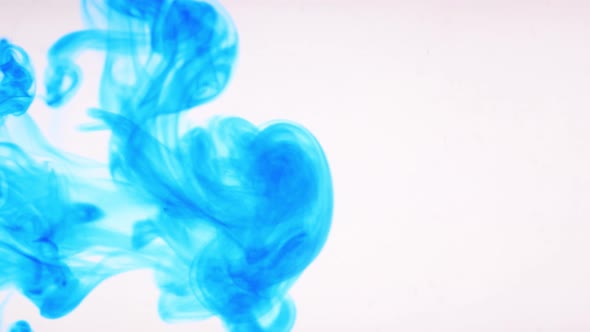 Blue Ink Dissolves in Water on White Background