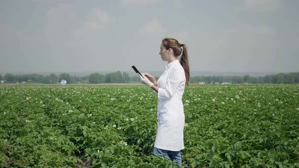 Agronomist At Work In A Field Using A Digital Tablet