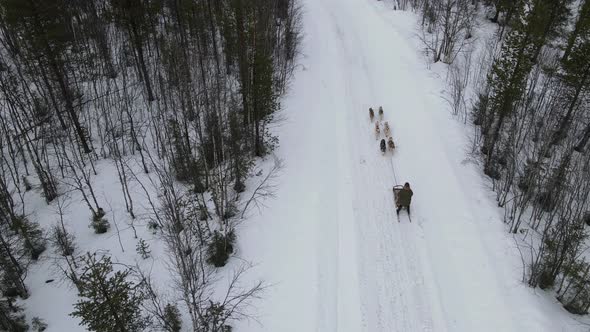 Drone Aerial View of Dogsledding Handler with Team of Trained Husky Dogs Mountain Pass Husky Dog