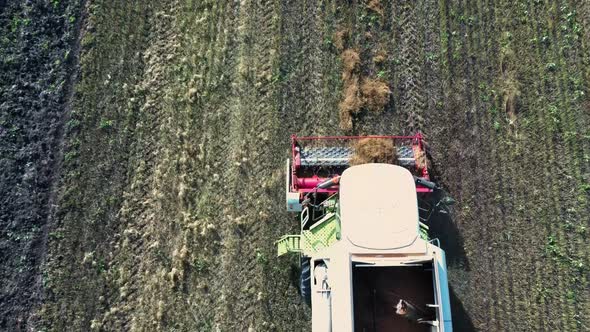 Closeup Aerial View Combine Harvester Collects Ripe Wheat Leaving Behind a Cloud of Dust in a Wheat