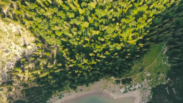 Birds Eye View of Scenic Emerald Lake Surrounded By Pine Forests