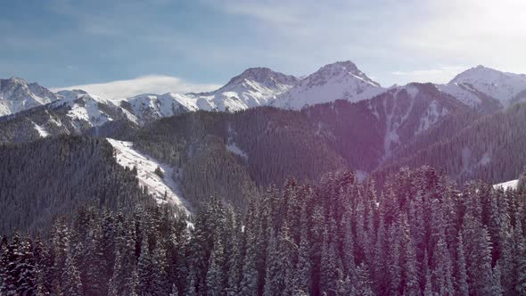 Aerial Shot of Winter Snow Forest in the Mountains