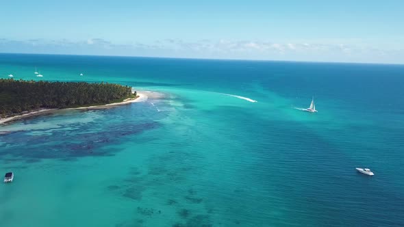 4k 24fps Palms Tree In The Saona Island With Drone Dominican Republic 8