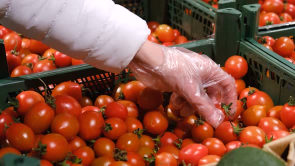 Woman's Hands Chooses Cherry Tomatoes in the Supermarket