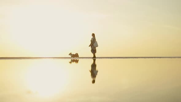 Woman and Dog Walking Along Beach During Evening Sunset in Autumn Spbi