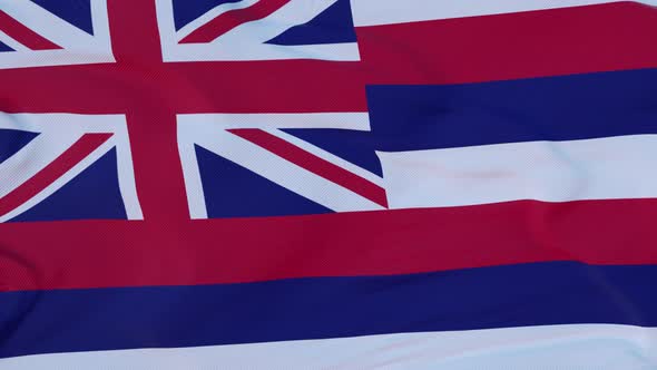 Flag of Hawaii State Region of the United States Waving at Wind