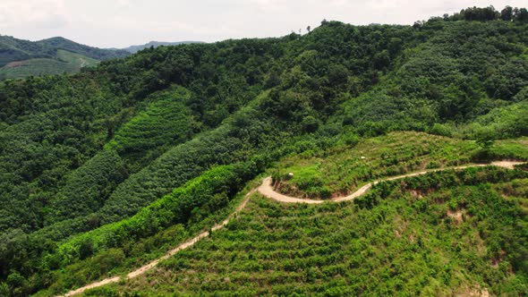 Drone turns over plantations and greenery, Phang Nga, Thailand