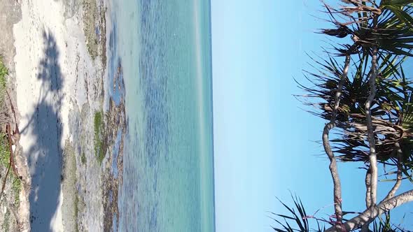 Vertical Video of the Ocean Near the Coast of Zanzibar Tanzania Aerial View